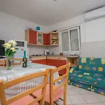 Zlatica Apartment